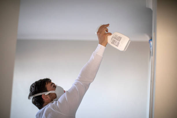 Best Emergency Mold Remediation in Potomac, MD
