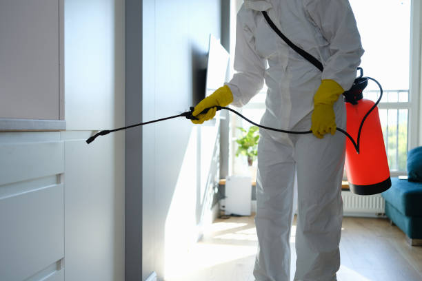Best Kitchen Mold Remediation in Potomac, MD