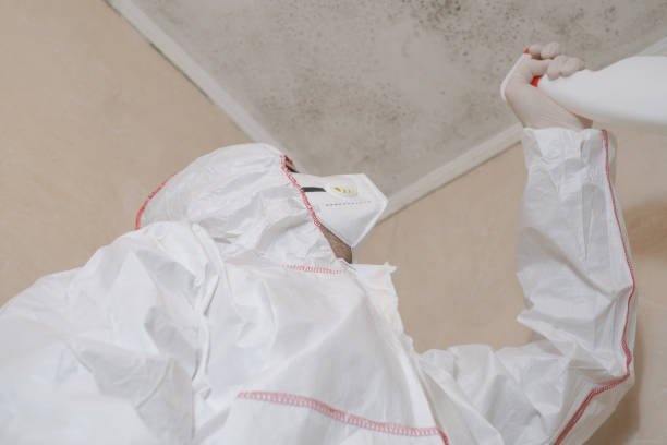 Best Mold Remediation for Schools in Potomac, MD